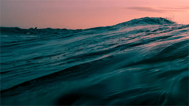 <h2>2) Haz tu pedido</h2>